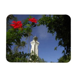 South Pacific, French Polynesia,Tahiti. Hibiscus 3 Magnet