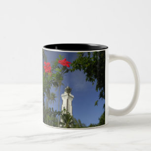 South Pacific, French Polynesia,Tahiti. Hibiscus 3 Two-Tone Coffee Mug
