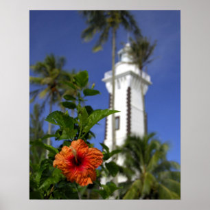 South Pacific, French Polynesia,Tahiti. Hibiscus Poster