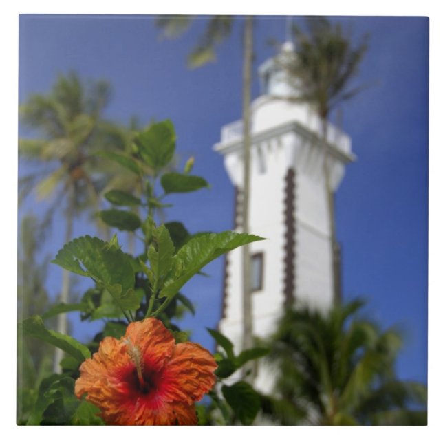 South Pacific, French Polynesia,Tahiti. Hibiscus Tile (Front)