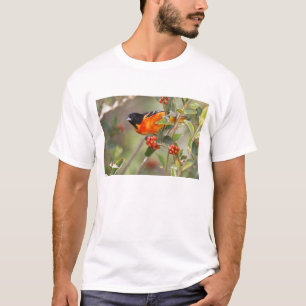 South Padre Island, Texas, USA, Baltimore Oriole T-Shirt