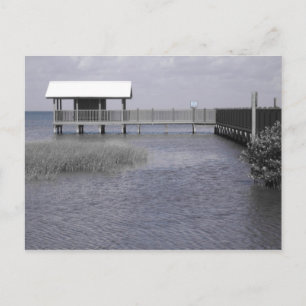 South Padre Postcard