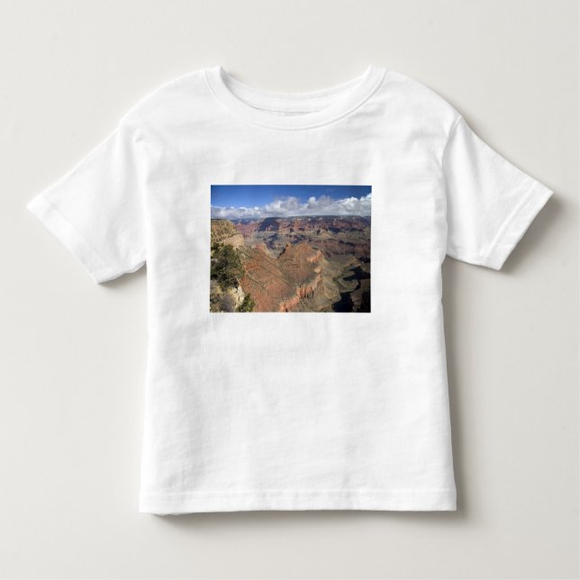 South Rim view of the Grand Canyon, Arizona, Toddler T-Shirt (Front)