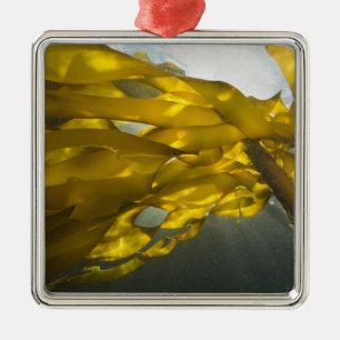 South side of Ewing Island, San Juan Islands, Metal Tree Decoration