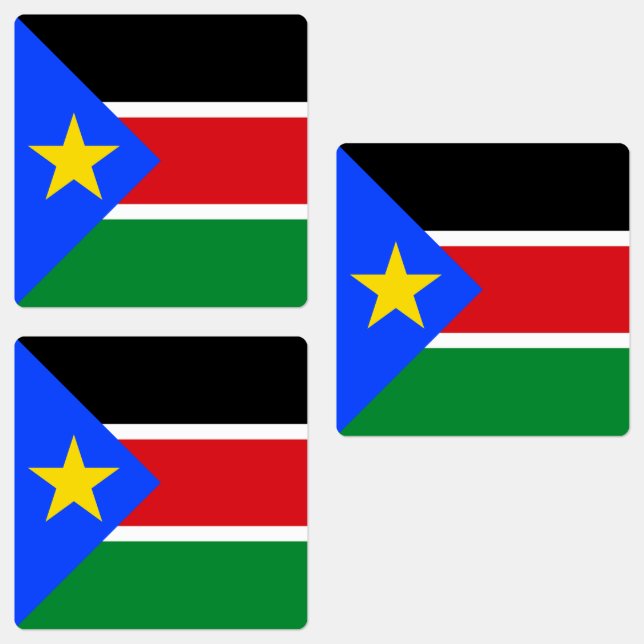 South Sudan Flag (Group)