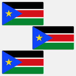 South Sudan Flag