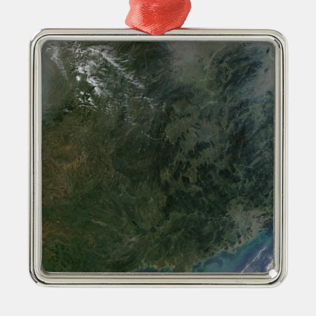 Southeastern China Metal Tree Decoration (Front)