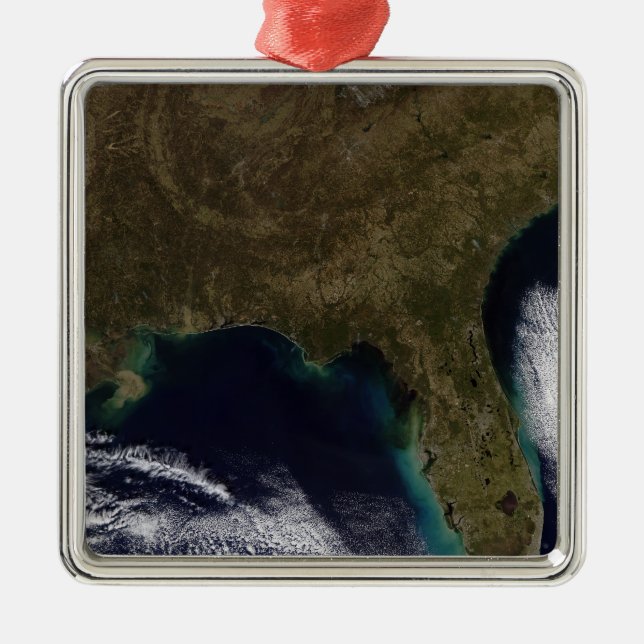 Southeastern United States Metal Ornament (Front)