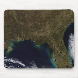 Southeastern United States Mouse Pad