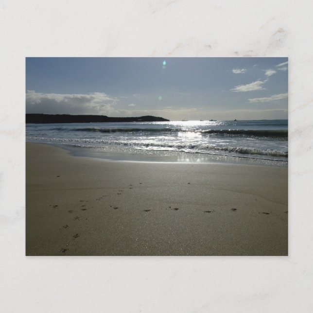 Southend Sparkle Postcard (Front)