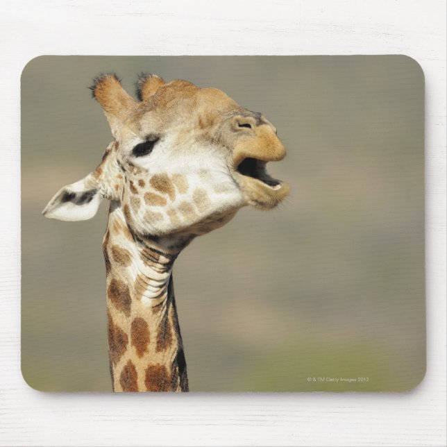Southern African giraffe (Giraffa camelopardalis Mouse Pad (Front)