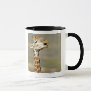 Southern African giraffe (Giraffa camelopardalis Mug