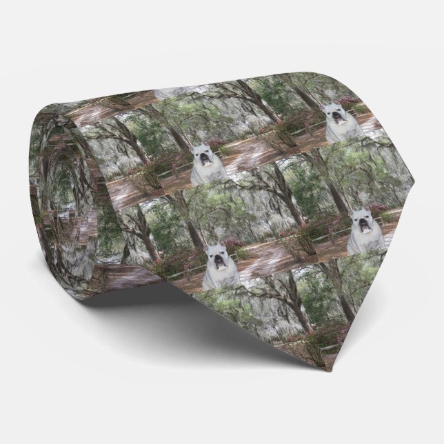Southern Belle Tie (Rolled)