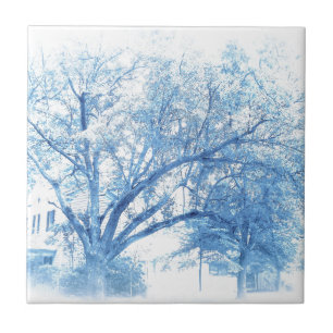 Southern Blue Oak Toile Tile