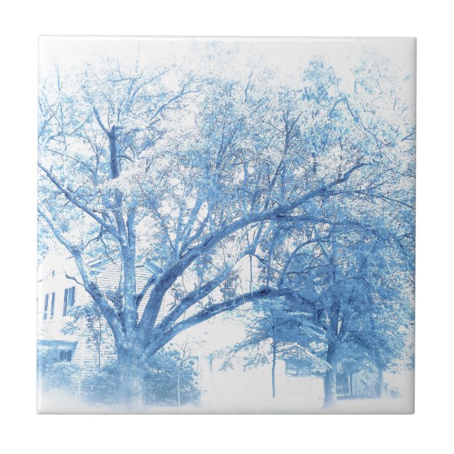 Southern Blue Oak Toile Tile (Front)