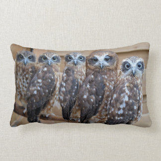 Southern Boobook Cross Eyed Owls Lumbar Cushion