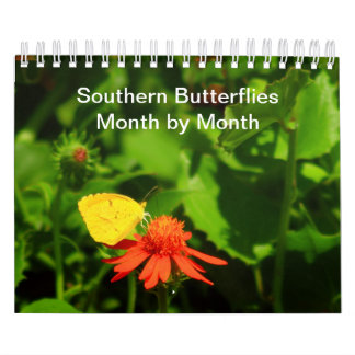Southern Butterflies Month-By-Month 2023 Calendar