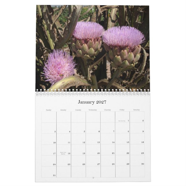 Southern California Flowers Calendar (Jan 2027)