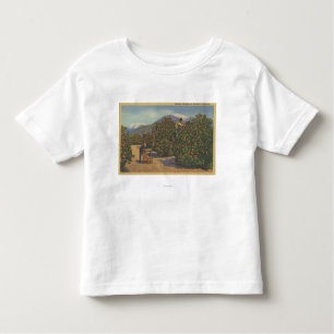 Southern California - Picking Oranges Toddler T-Shirt