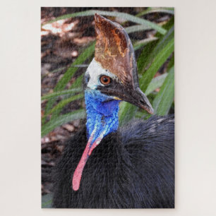 Southern Cassowary Jigsaw Puzzle