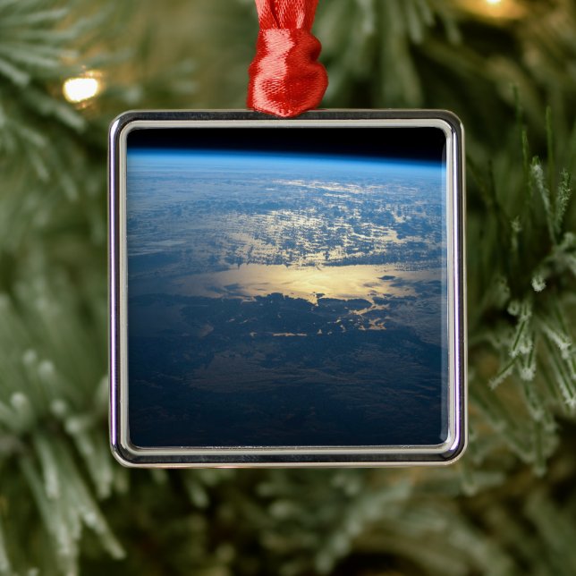 Southern Chile's Laguna San Rafael National Park. Metal Ornament (Tree)