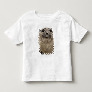 Southern Elephant Seal Mirounga leonina) Toddler T-Shirt
