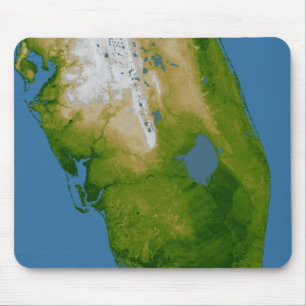Southern Florida Mouse Pad