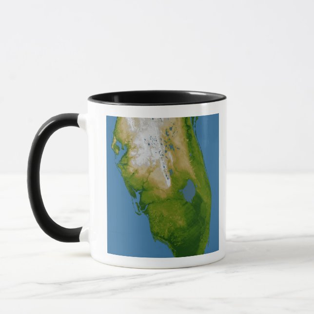 Southern Florida Mug (Left)