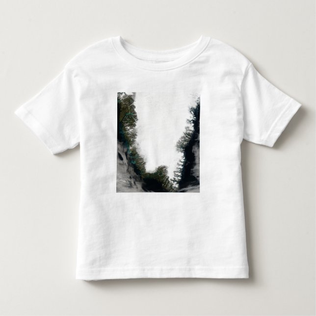Southern Greenland Toddler T-Shirt (Front)