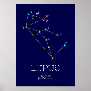 Southern Hemisphere Constellation Lupus Poster