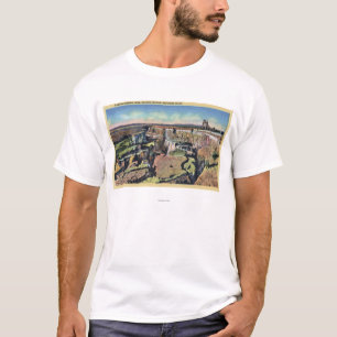 Southern Idaho - Famous Sinking Farm in Salmon T-Shirt