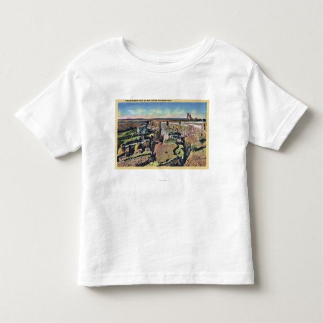 Southern Idaho - Famous Sinking Farm in Salmon Toddler T-Shirt (Front)