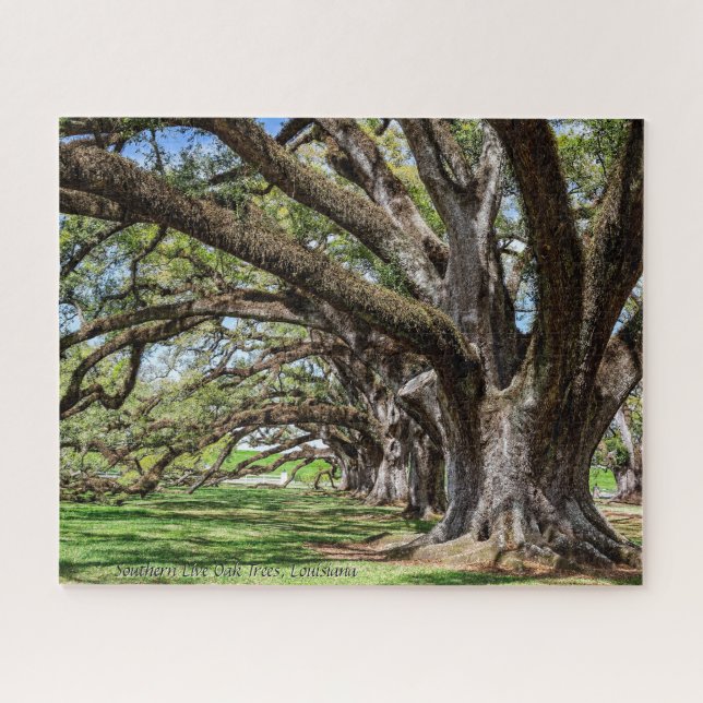 Southern Live Oak Trees of Louisiana Jigsaw Puzzle (Horizontal)