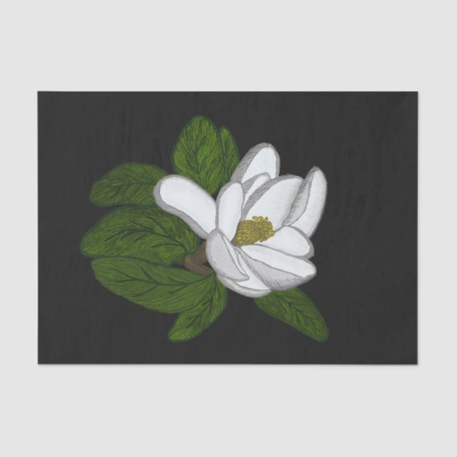 Southern Magnolia Illustration Tissue Paper (Front)