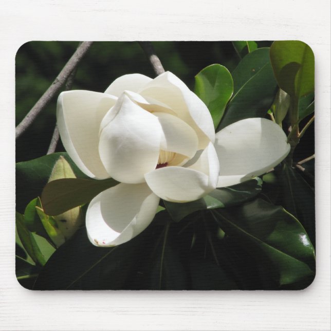Southern Magnolia Mouse Pad (Front)