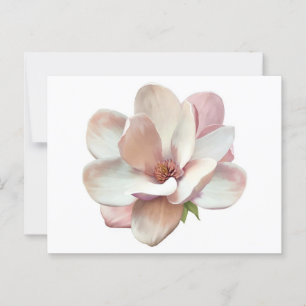 Southern Magnolia postcard