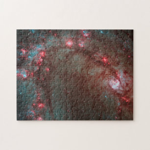 Southern Pinwheel Puzzle