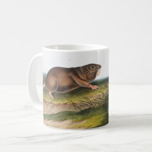 Southern Pouched Rat, Shrew Mole Illustration Coffee Mug