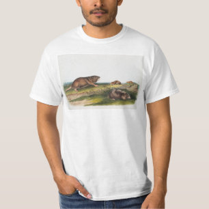 Southern Pouched Rat, Shrew Mole Illustration T-Shirt