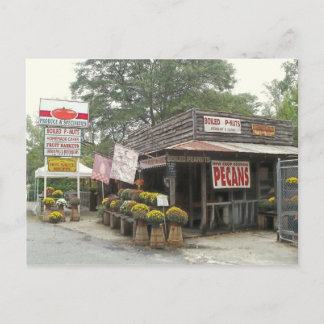 Southern roadside country store postcard