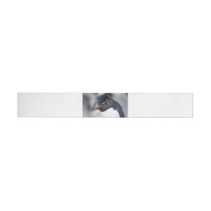Southern Rockhopper Penguin Wraparound Address Label