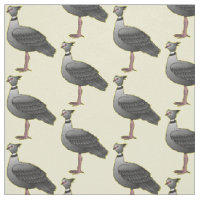 Southern screamer bird cartoon illustration