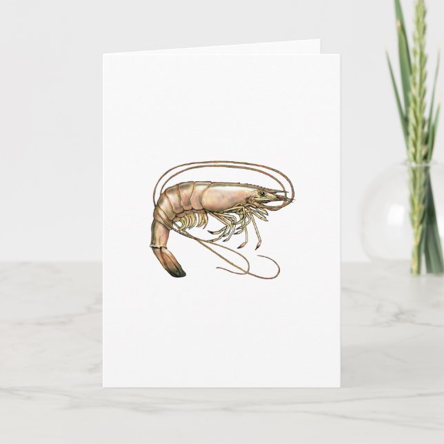 Southern Shrimp Art Card (Front)