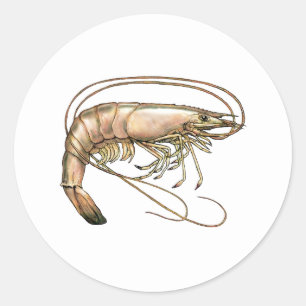 Southern Shrimp Art Classic Round Sticker