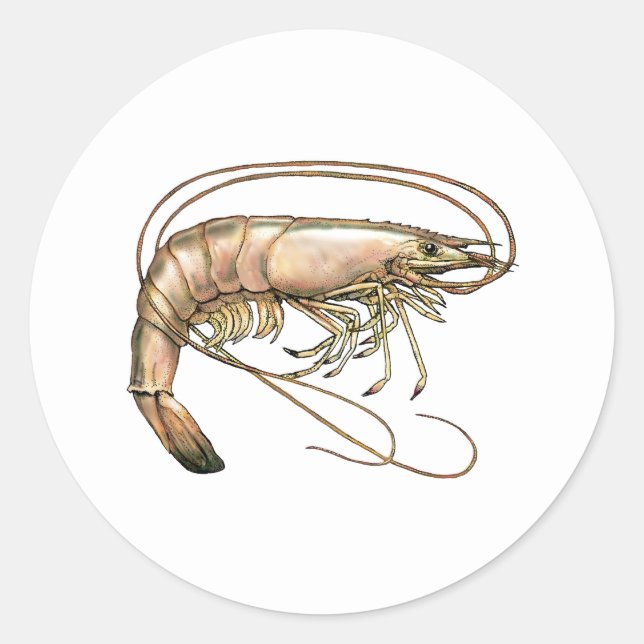 Southern Shrimp Art Classic Round Sticker (Front)