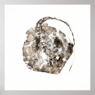 Southern Stingray Poster