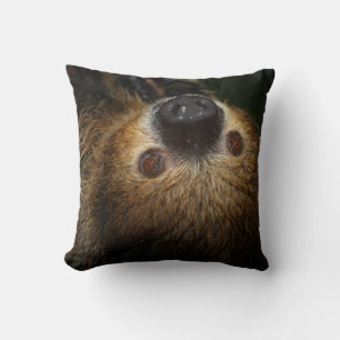 Southern Two-Toed Sloth Cushion