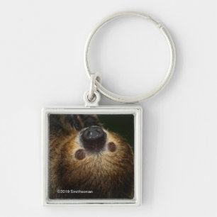 Southern Two-Toed Sloth Key Ring