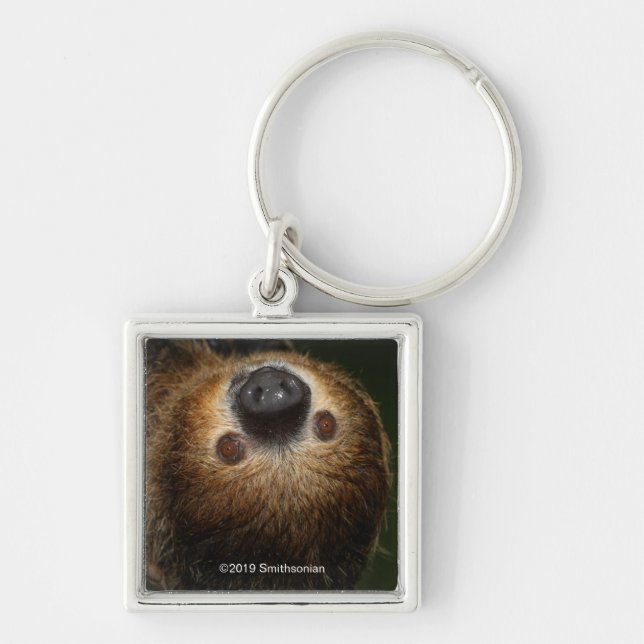 Southern Two-Toed Sloth Key Ring (Front)