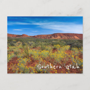 Southern Utah Wildflowers Postcard